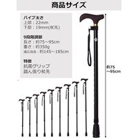 ストリックスデザイン 踏ん張りつえ先ステッキ太め伸縮BK抗菌 SB-029 1本