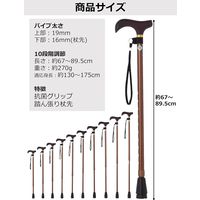 ストリックスデザイン 踏ん張りつえ先ステッキスリム伸縮BR抗菌 SB-031 1本