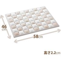 天馬 PORISH プレミアム珪藻土バスマット L 811000624 1個（直送品）