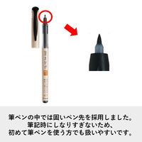 パイロット 筆ペン 筆まかせ うす墨 細字 SFM-20F-UB 1セット(1本×10)