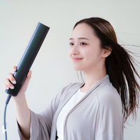 QUADS BISARA スティックドライヤー DCブラシレス BSR004BK 1台