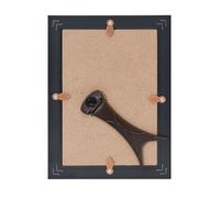 富士フイルム フジカラー パール肖像額縁 はがき・L ブラック FRAMEL 506307 1枚 537-8519（直送品）