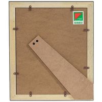 富士フイルム フジカラー 肖像額縁 A4 無反射仕様 FRAMEA4 506932 1枚 537-8536（直送品）