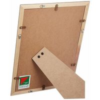 富士フイルム フジカラー デジフォトフレームD3 A4 ローズ D3A4 RO 1枚 540-4551（直送品）