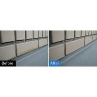 ビアンコジャパン ビアンコ エポゲッター(4kg) EG-101-4KG 1本 554-5710（直送品）