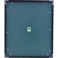 富士フイルム フジカラー アルミ額縁 A300 全紙 A300Z 1枚 563-0252（直送品）