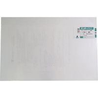 アクリサンデー PET樹脂板300mmx450mmx1.0mm PG-1 S 1.0 1枚 195-5494（直送品）