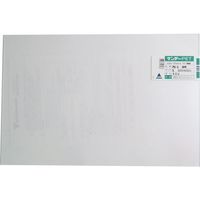 アクリサンデー PET樹脂板300mmx450mmx3.0mm PG-1 S 3.0 1枚 195-5497（直送品）