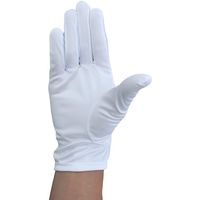 ウインセス WINCESS マイクロファイバー静電気対策 手袋 (10双入り) Sサイズ 8051-S 1袋(10双) 396-1388（直送品）