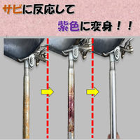 業務用さび落とし スプレー 4595317487065 1セット(1個×6)