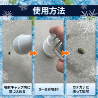 カメムシ 氷殺スプレー 4595317487072 1個