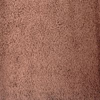 林 やわらかバスタオル テックカラー ブラウン BO438026 1枚