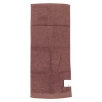 林 やわらかフェイスタオル テックカラー ブラウン FO438026 1枚