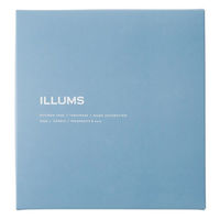 大和 手提付〈ニューハウン〉 ILLUMS ギフトカタログ YM576 1冊（直送品）