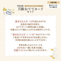 シヤチハタ 月齢おててカードキット ベビーアイテム柄 ローズ HPSC-B/H-RP 1個 誕生日 記念 お祝い ギフト 出産祝い