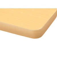 【軒先渡し】ニシキ工業 会議用テーブル 幅600×奥行600×高さ700mm　 ペールウッド AAK-0606SM-VPL 1台（直送品）