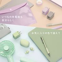 オウルテック PD20Wで超速充電可能 オーロラカラーのAC充電器 OWL-APD20A1C1R-AU 1個