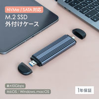 NVMe/SATA Type-A/C M.2 SSD 外付けケース シルバー OWL-ESM2UAC-SI 1個