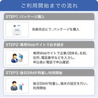 IIJモバイルサービス/タイプD for IIJmio Biz プリペイドSIM （ 40GB/6ヶ月 ） IM-B437 1枚（直送品）