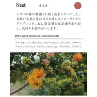 フレーバーライフ社 ヘア＆ボディウォッシュ 300mL Nest（ネスト） 7058 1本