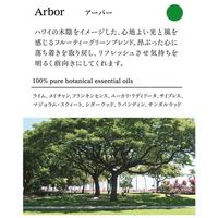 フレーバーライフ社 ヘア&ボディウォッシュ 300mL Arbor(アーバー) 7051 1本