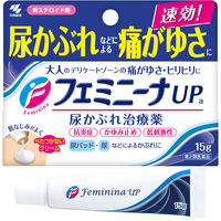 フェミニーナUP a 15g 小林製薬 尿かぶれ【第2類医薬品】