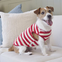 Jekyll Egg（ジキルエッグ）ボーダータンク M レッド1個 犬用 アルクロース