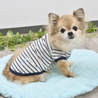 【アウトレット】Jekyll Egg（ジキルエッグ）ボーダーTシャツ M ネイビー 1個 犬用 アルクロース