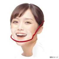 大一産業 プラスチックマスク マスクリア ピコ 5セット入り 00691039 1ケース(1点×200))（直送品）