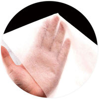 アーテック 【介護/医療】清拭 使い捨てシーツ 白 大 10枚入 051164 1ケース(1点×10))（直送品）