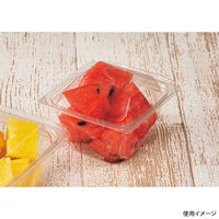 リスパック フードパック バイオ キューブP 11-54(68) PABM501 1パック(50点)（直送品）