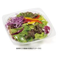 リスパック サラダ容器 バイオ ハクリア 16-37B 黒 PBPP271 1ケース(50点×12))（直送品）