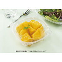 リスパック バイオ ハクリア 13-OCA PBPP157 1パック(50点)（直送品）