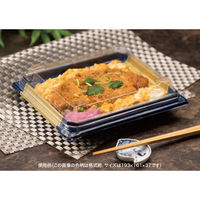 リスパック どんぶり容器 バイオD枠重3-2BRBS RHBN273 1ケース(50点×18))（直送品）