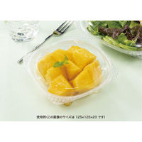 リスパック バイオ ハクリア 14-OCA PBPP207 1パック(50点)（直送品）