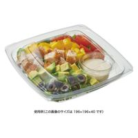 リスパック 惣菜容器 バイオ ベイシス15-40B PABC550 1ケース(50点×16))（直送品）