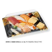 リスパック 寿司容器 万角13-11B みぎわ緑 RSAK024 1パック(50点)（直送品）