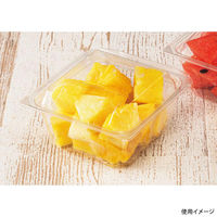 リスパック フードパック バイオ キューブP 13-54(68) PABM511 1ケース(50点×8))（直送品）