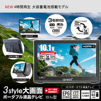 ダイアモンドヘッド 10.1インチポータブルテレビ&マルチプレーヤー APT-101FP 1台（直送品）