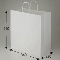 シモジマ 25チャームバッグ 34-2 晒白無地 003279102 1束(50枚)