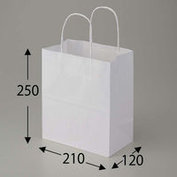 シモジマ 25チャームバッグ 21-12 晒白無地 003266000 1束(50枚)