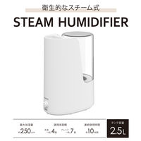 YAMAZEN パーソナルスチーム加湿器 アロマポット付き 容量2.5L 最大加湿量250ml KS1-B25(W) 1個