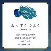 日本出版販売 FO ボトルインク 02(濃紺) FO648088 1セット(2個)（直送品）