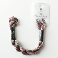 CS5S-206（直送品）