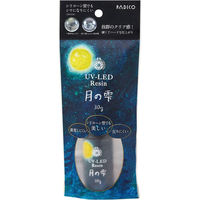 パジコ レジン液 UV-LEDレジン 月の雫 30g 透明 日本製 403323 PDC403323 1セット(2個)