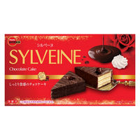 チョコレート菓子 食べきりサイズ シルベーヌ 6個 1セット（1個×5）