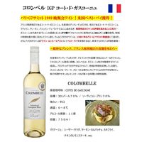 フランス コロンベル ブラン 白ワイン 辛口 750ml 1本 東京実業貿易