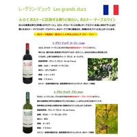 フランス レ・グラン・デュック ルージュ 赤ワイン ミディアムボディ 750ml 1本 東京実業貿易