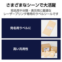 ラベルシール 表示・宛名ラベル レーザープリンタ 10面 四辺余白付 20シート EDT-ECNLL10S20 エレコム 1個（直送品）