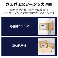 ラベルシール 表示・宛名ラベル レーザープリンタ ノーカット 3シート EDT-ECNLL1S3 エレコム 1個（直送品）